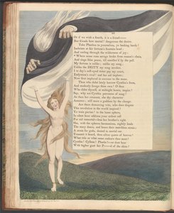 Young&39;s Night Thoughts, Página 46, Onde o sentido corre selvagemente quebrou a corrente da razão de William Blake