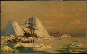 Um incidente de caça à baleia de William Bradford