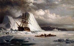 Navio Congelado,