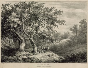 Espinho árvores em Bushy Park, Middlesex de William Burges