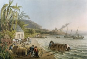Carting and Putting Sugar Hogsheads on Board &39;, placa X de&39; Ten Views in the Island of Antigua &39;, publicado por W. Clark, Londres, 1823 (aquatinta colorida)