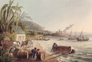 Carregamento de Barris de Rum e Açúcar, Antígua