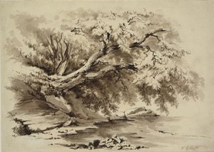 Paisagem com árvores pendendo de um lago de William Collingwood Smith