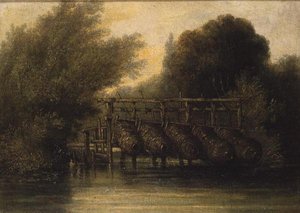 Panelas de enguia