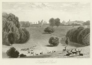 Parque Knowle