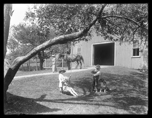 Filhos da família McCready com um cachorro e um cachorrinho reunidos em volta de um balanço de corda fora de um celeiro, c.1913 de William Davis Hassler