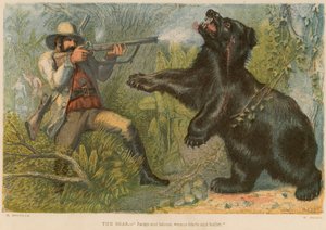 O urso