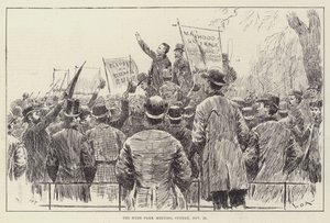 O Hyde Park Meeting, domingo, 20 de novembro de William Douglas Almond