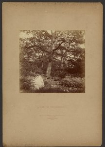 Floresta de Fontainebleau de William Drooke Harrison