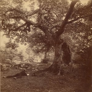 Floresta de Fontainebleau de William Drooke Harrison