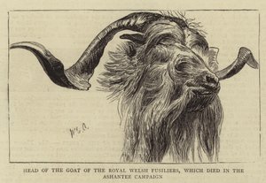 Chefe da cabra dos Royal Welsh Fusiliers, que morreu na campanha de Ashantee de William Edward Atkins