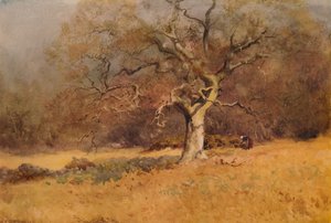 Madeiras de inverno, c1916, 1938 de William Eyre Walker