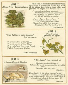 Página do Livro de Aniversário do Emblema da Bíblia (litografia a cores) de William Foster
