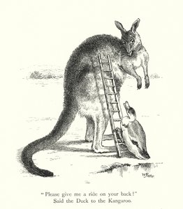 O Pato e o Canguru (gravura) de William Foster