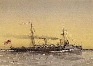 HMS Speedwell, torpedeira