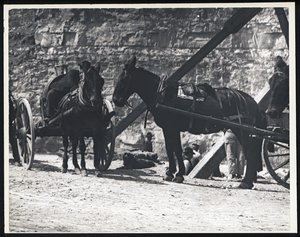 Fotografia horizontal em preto e branco de duas carroças puxadas por cavalos em uma pedreira