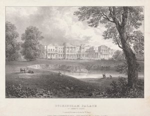 Palácio de Buckingham de William Gauci