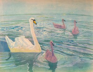 Cisne e Cygnets, 1911, 1928