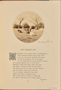 [Cena pastoral com gado a descansar num campo, Inglaterra] de William Grundy