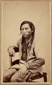 Lobo cinzento, década de 1860 (foto) de William Gunnison Chamberlain