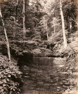 Lago Owasco, Cascade Glen, para a Lehigh Valley Railroad de William H. Rau