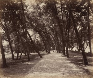 Área de piquenique de William H. Rau