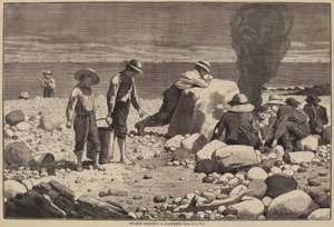Esboços à Beira-mar - A Clam-Bake de William H. Redding after Winslow Homer