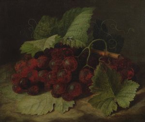 Ainda vida de uvas