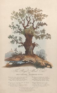 The Royal Allied Oak and Self-Created Mushroom Kings, 29 de Maio de 1815. de William Heath