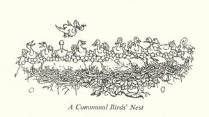 Um Ninho Comunal de Aves (litho) de William Heath Robinson