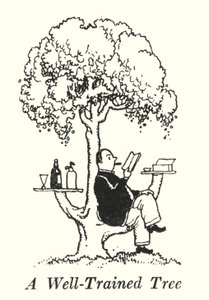 Uma árvore bem treinada (litho) de William Heath Robinson