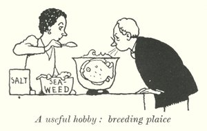 Um hobby útil, a criação de solha (litho) de William Heath Robinson