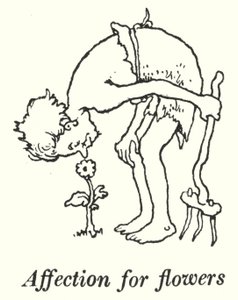 Afeição por flores (litho) de William Heath Robinson