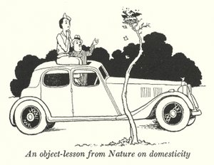 Uma lição de objetos da natureza sobre domesticidade (litho) de William Heath Robinson