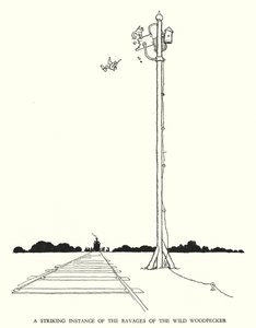 Ilustração para a Ribaldry Ferroviária de W Heath Robinson (litho) de William Heath Robinson