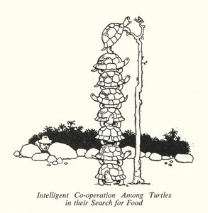Cooperação inteligente entre tartarugas em sua busca por alimentos (litho) de William Heath Robinson