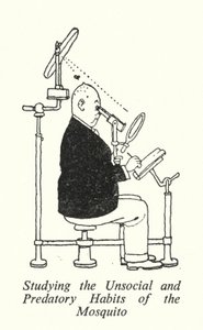 Estudo dos Hábitos Antissociais e Predatórios do Mosquito (litho) de William Heath Robinson
