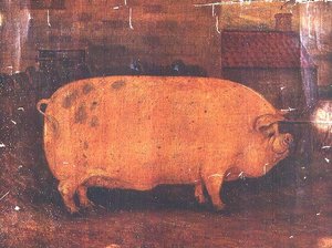 O Prémio Porco Jumbo II de William Henderson