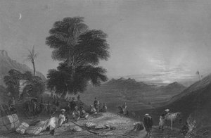 Parada de uma caravana no deserto de Girgola, perto do Monte Amanus de William Henry Bartlett