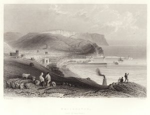 Whitehaven, (com St Bees-head) de William Henry Bartlett