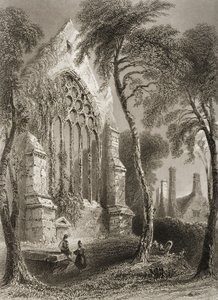Youghal Abbey, Condado de Cork, na Irlanda, de "Cenário e Antiguidades da Irlanda" por George Virtue, de 1860 de William Henry Bartlett
