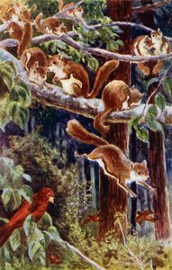 "Como foi encantador vê-los a brincar!" (cor litho) de William Henry Charles Groome