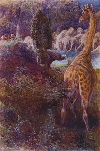 Ilustração para The Gorilla Hunters de R M Ballantyne (cor litho)