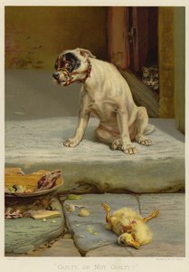 Culpado, ou não culpado (chromolitho)
