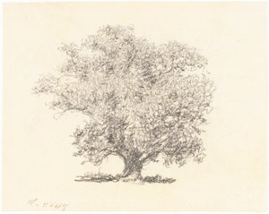 Uma árvore em folha cheia de William Henry Hunt