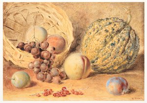 Cesto com melão, pêssegos, uvas e ameixas, c.1804 (grafite, aguarela com adição de goma-arábica, aguarela e riscado sobre papel de seda) de William Henry Hunt