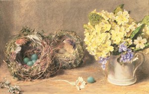 Flores de primavera e Ninhos de Pássaros, c.1830 (aguarela e cor de corpo sobre papel) de William Henry Hunt