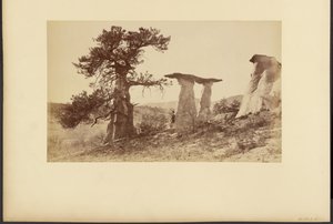  de William Henry Jackson