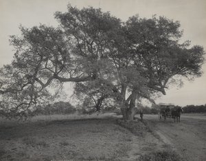 Oak Grove, perto de Pasadena, Califórnia