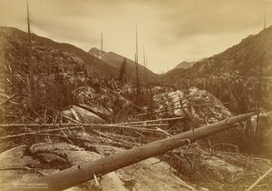  de William Henry Jackson